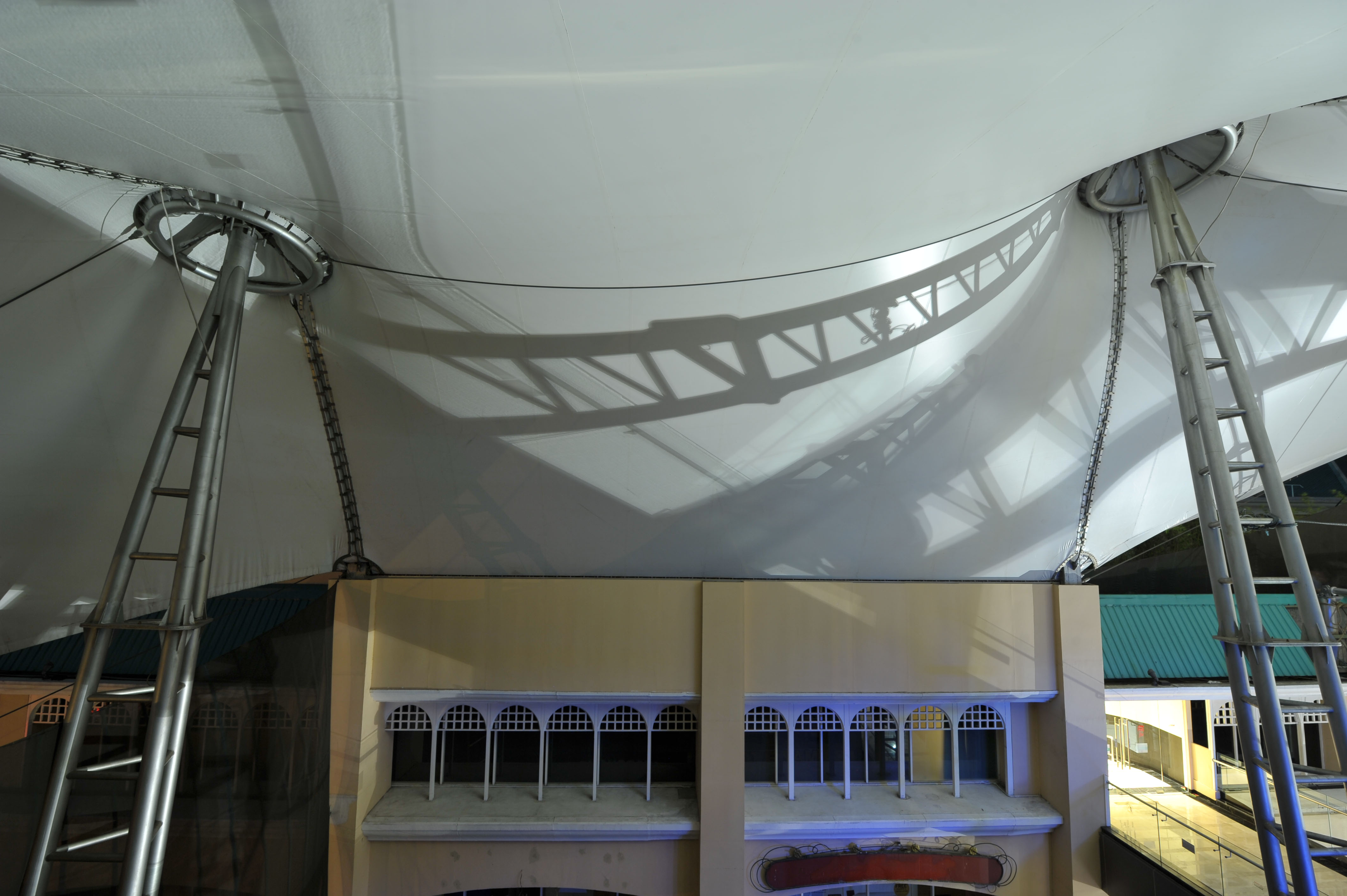 SJB_7890